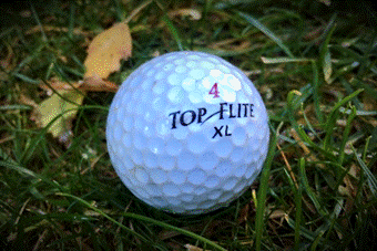 A golf ball on a field

Description automatically generated