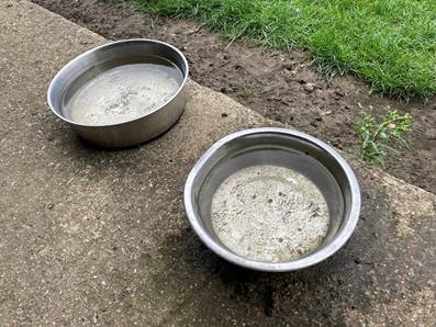 Two metal bowls with water on the side of the sidewalk

Description automatically generated